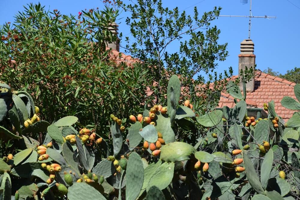 Photo of Outdoor in Cefalu