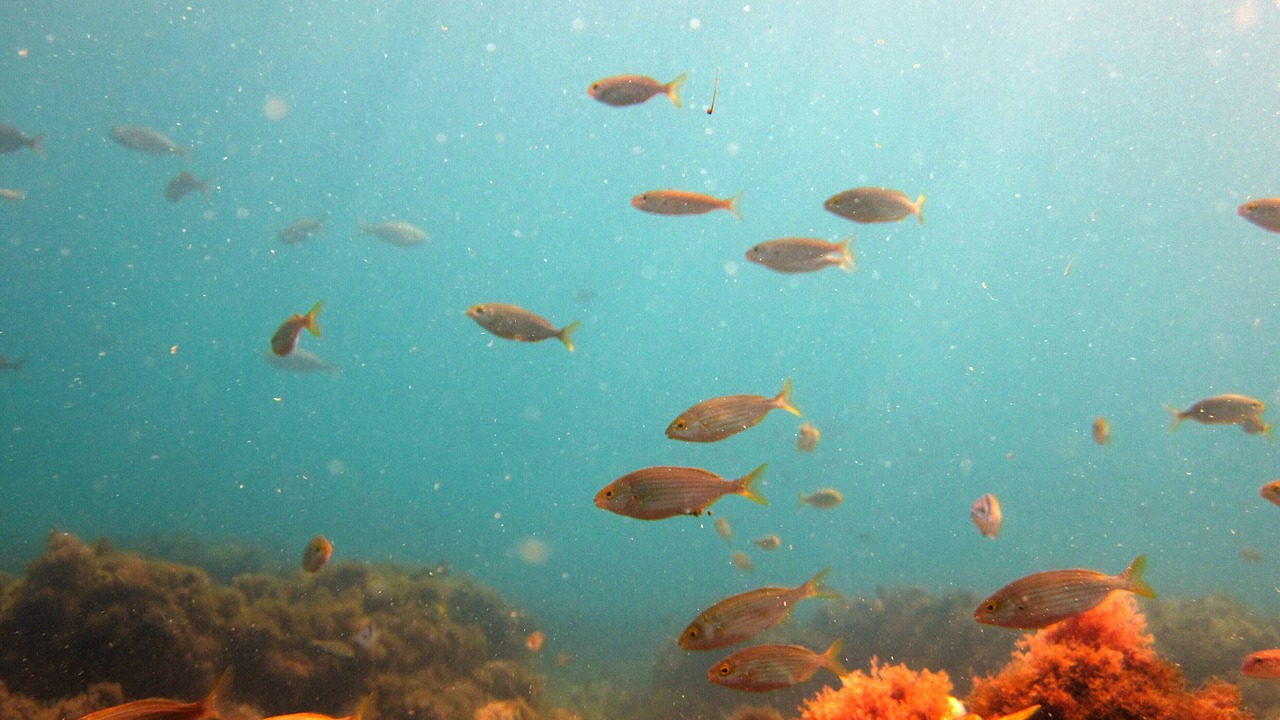 Photo of Outdoor in Marzamemi