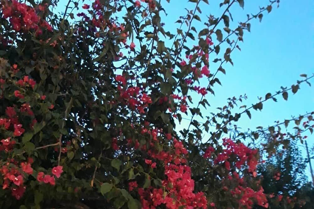 Photo of Outdoor in Balestrate
