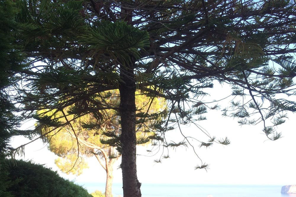 Photo of Outdoor in San Nicola Arcella