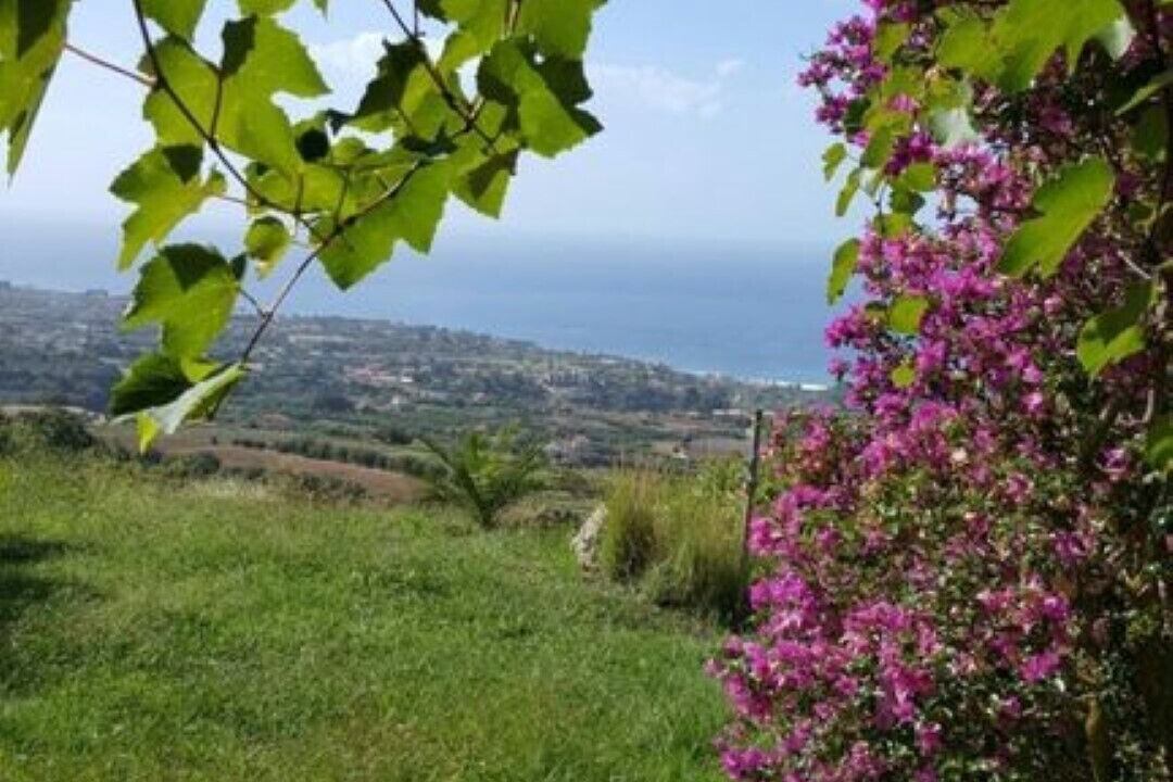 Photo of Outdoor in Ciaramiti