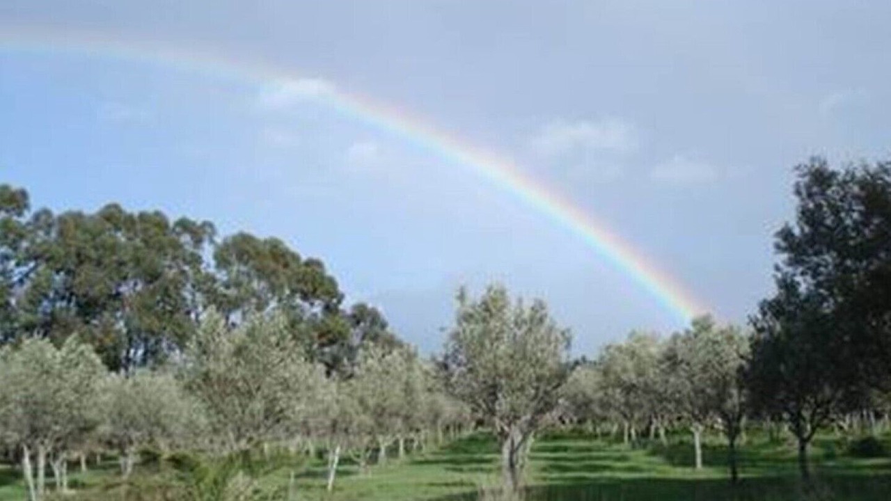 Photo of Outdoor in Ciaramiti