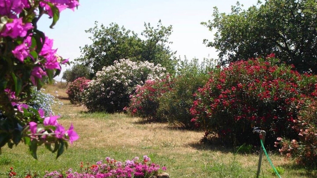 Photo of Outdoor in Ciaramiti