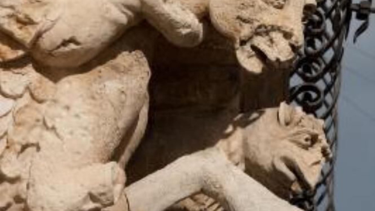 Photo of Others in Cava dʼAliga