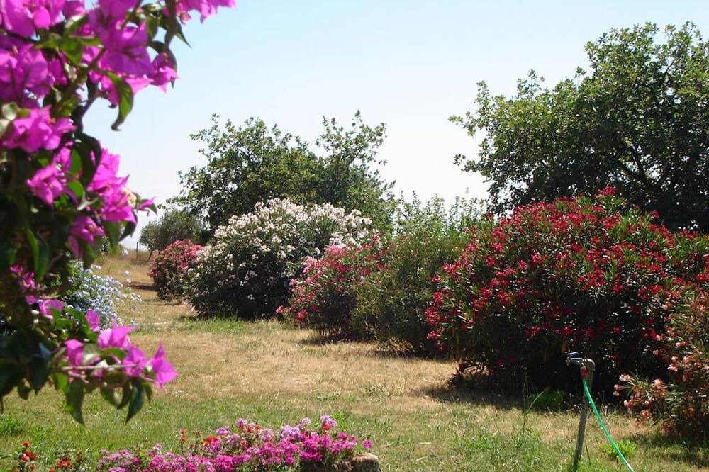 Photo of Outdoor in Ricadi