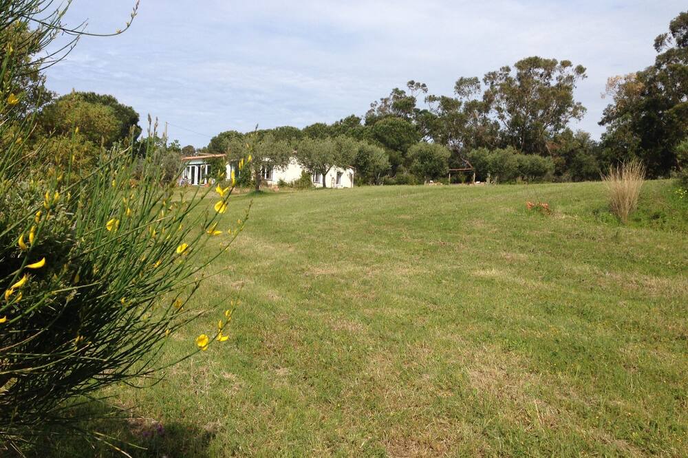 Photo of Outdoor in Ricadi