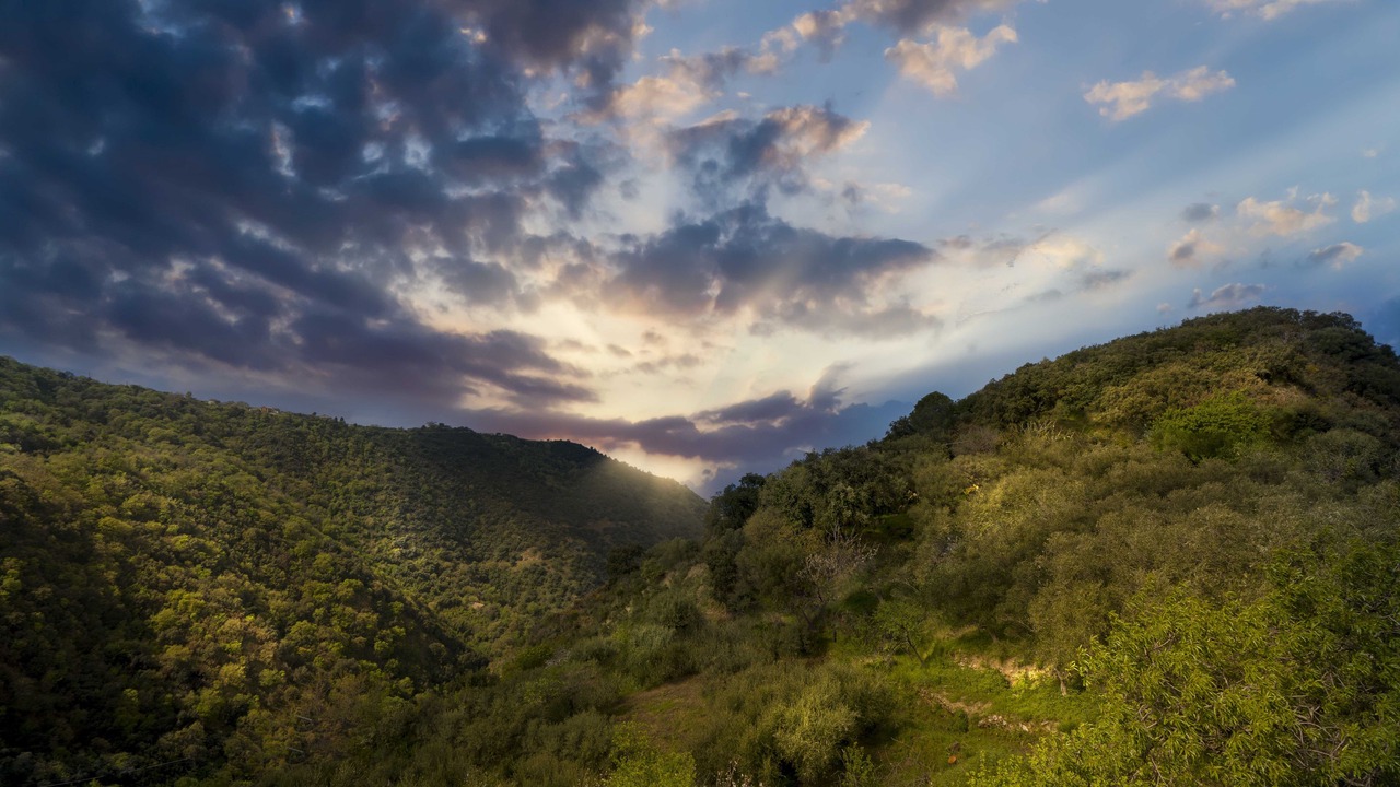 Photo of Outdoor in Naso