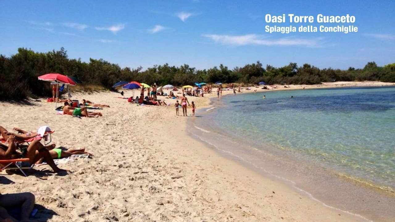 Photo of Others in Pantanagianni-pezze Morelli