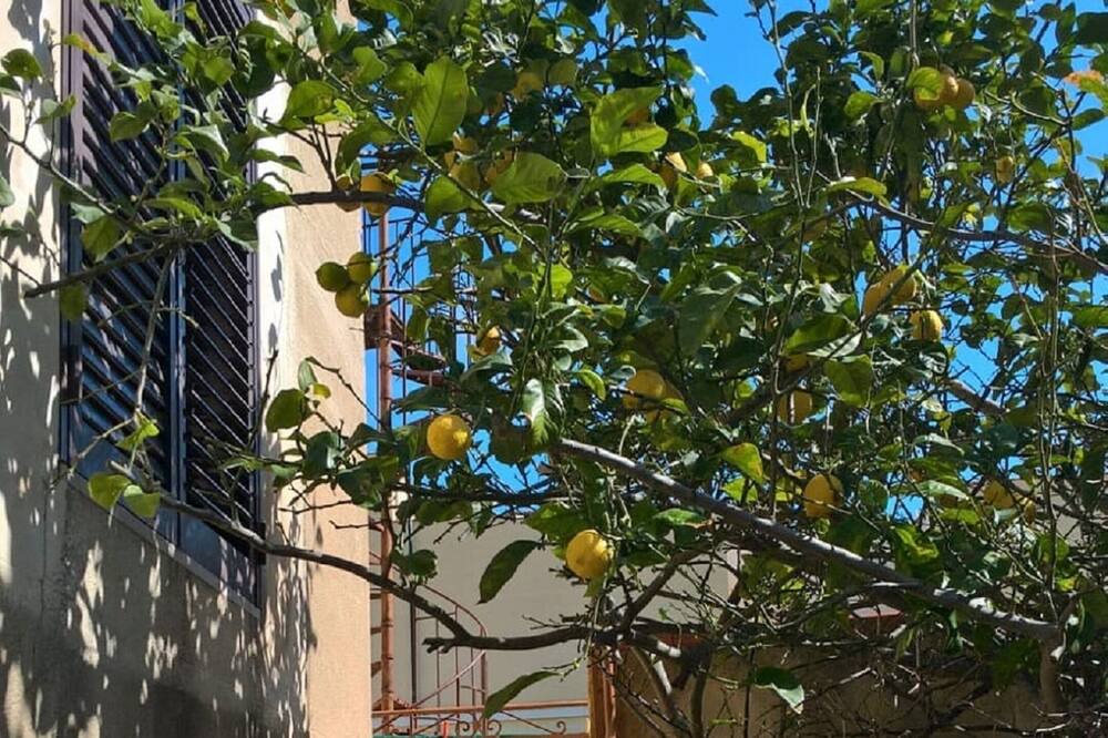 Photo of Outdoor in Favignana