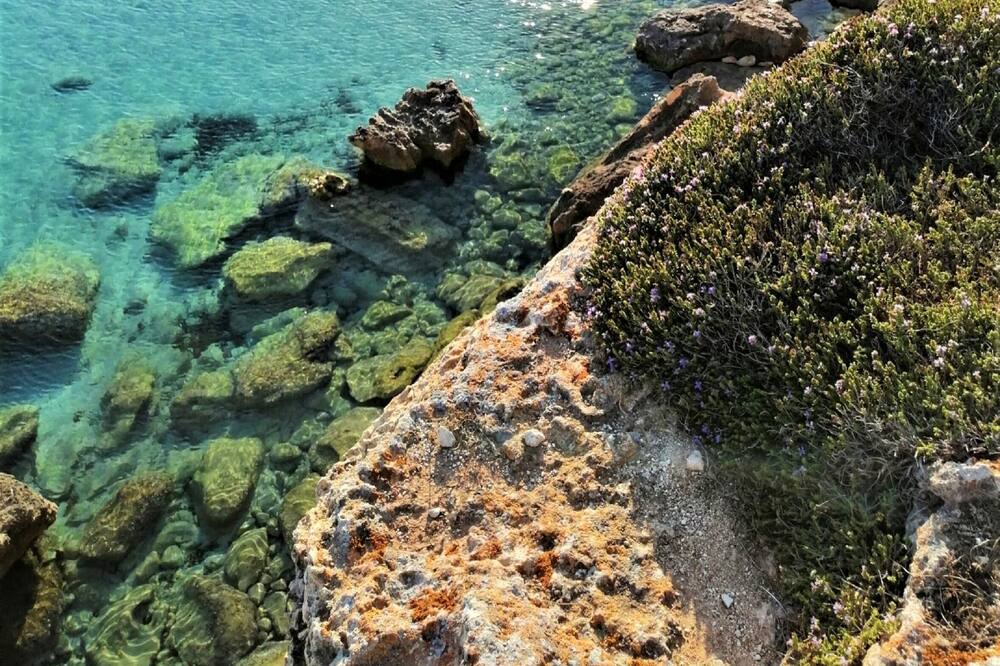 Photo of Others in Favignana
