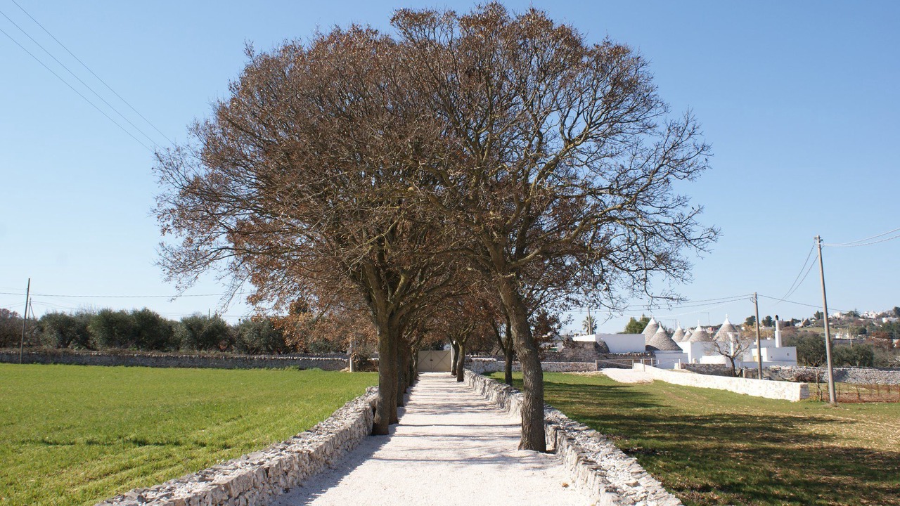 Photo of Outdoor in Locorotondo