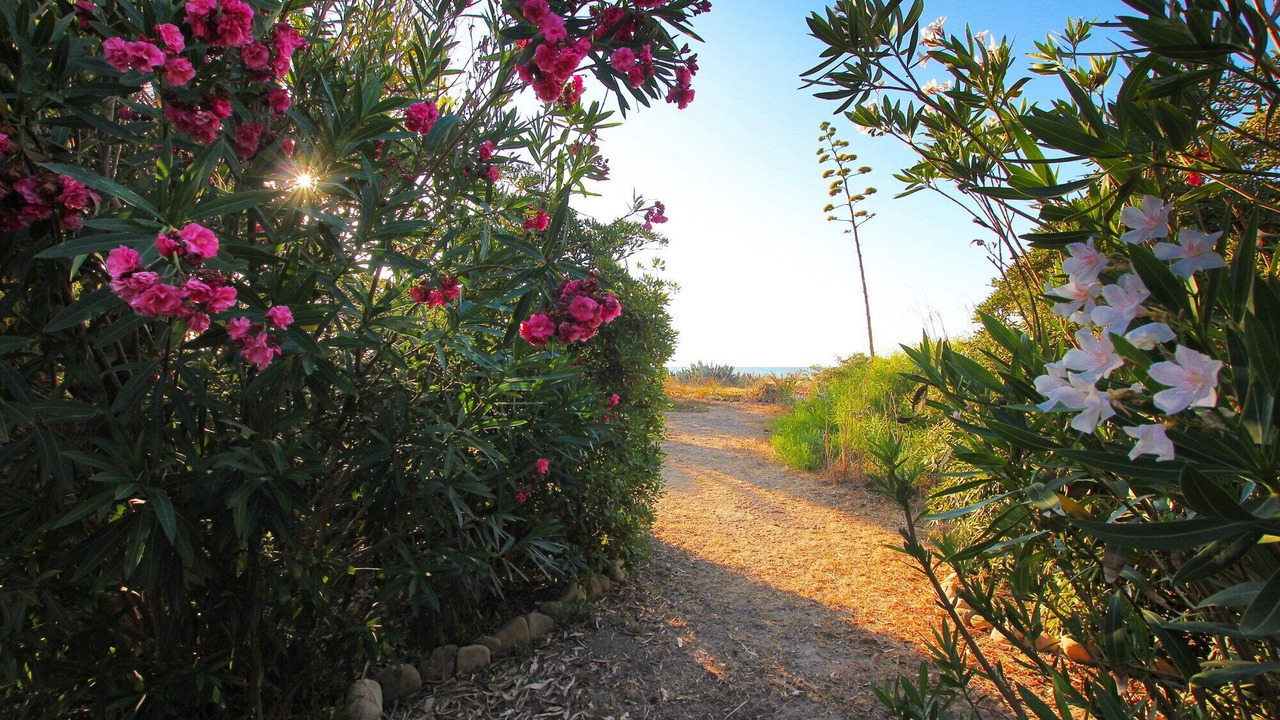 Photo of Outdoor in Piana Calzata
