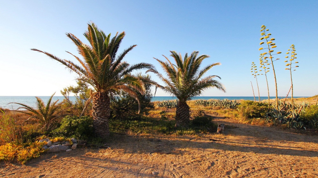 Photo of Others in Piana Calzata