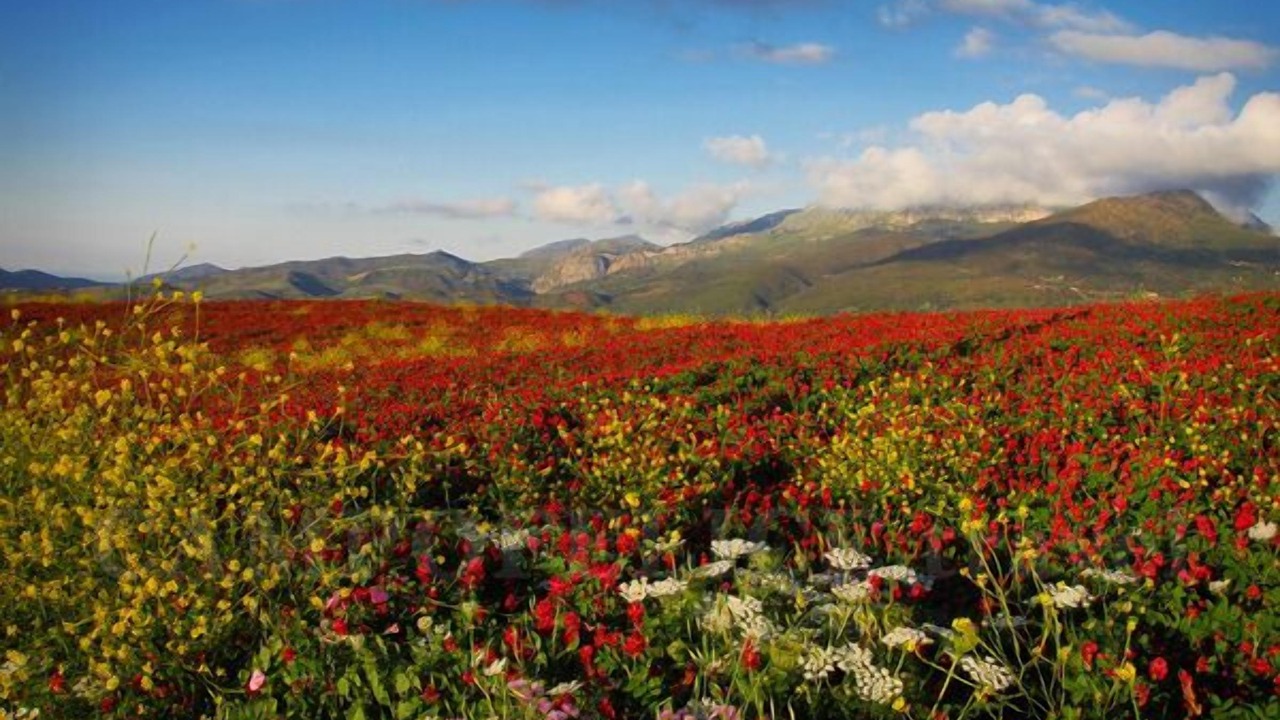 Photo of Outdoor in Piana Calzata