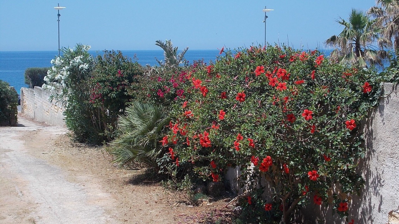 Photo of Outdoor in Mazara del Vallo