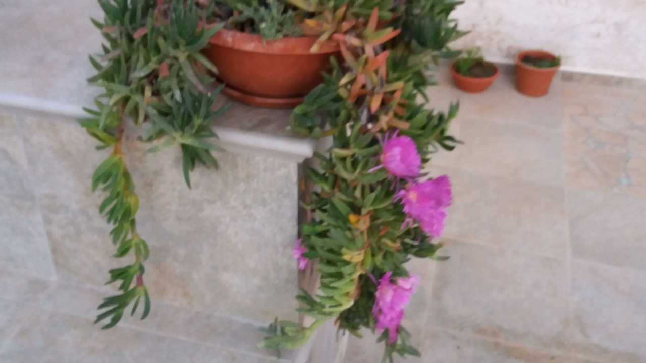 Photo of Outdoor in Mazara del Vallo