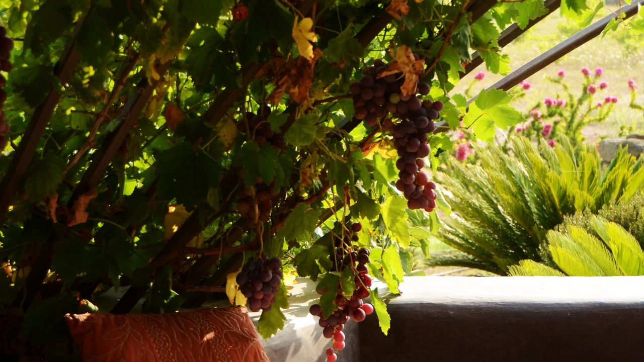 Photo of Outdoor in Pantelleria