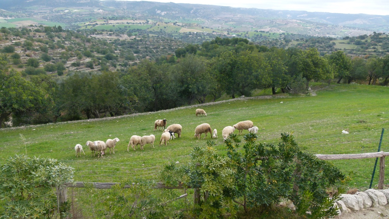 Photo of Outdoor in Casa Papa