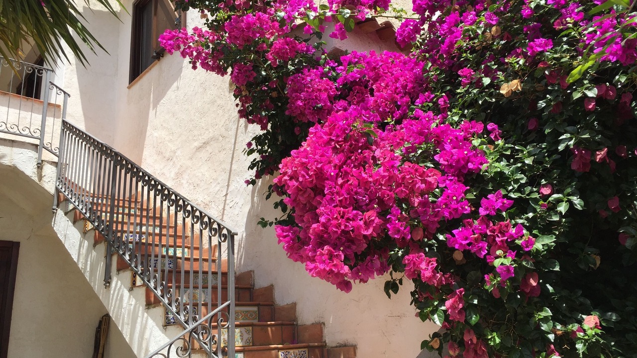 Photo of Outdoor in Borgo Bonsignore