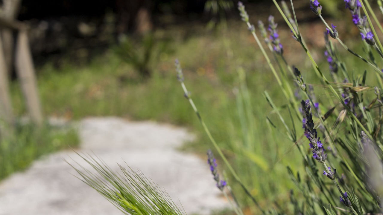 Photo of Outdoor in Alcamo