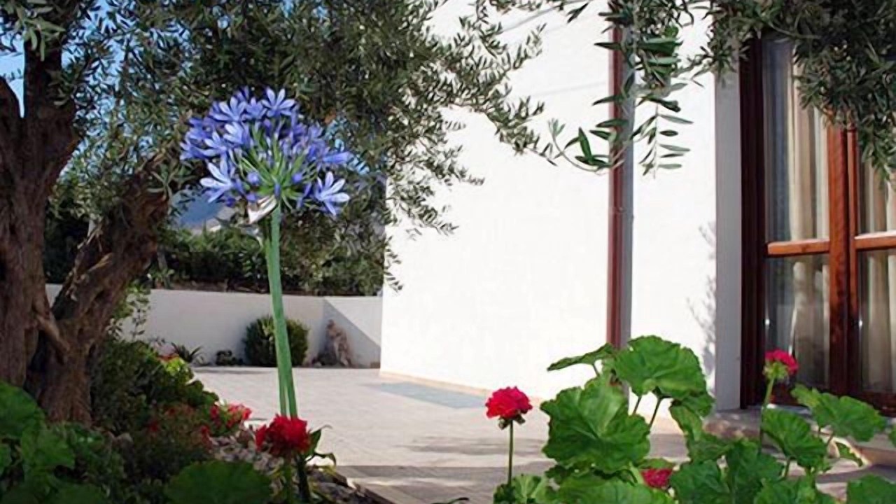 Photo of Outdoor in Castelluzzo