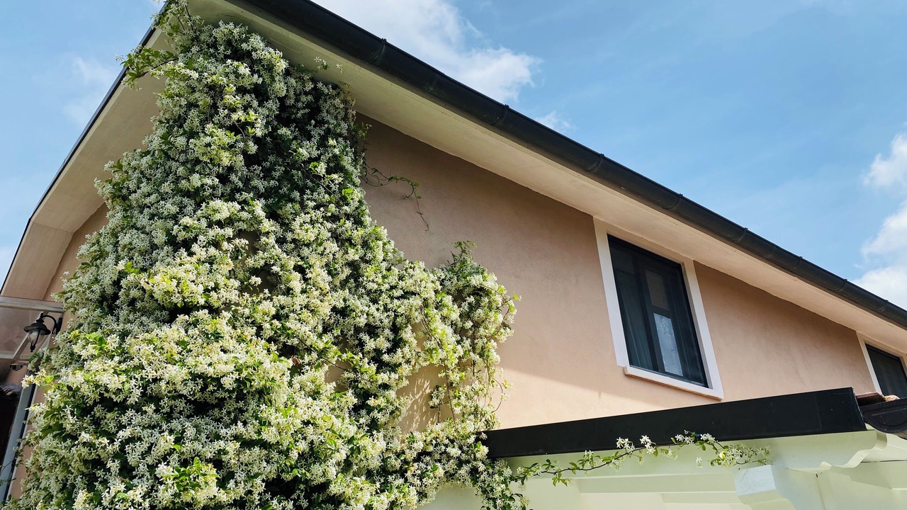 Photo of Outdoor in Piana Romana Farm