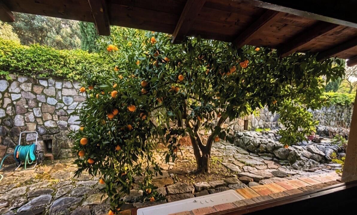 Photo of Outdoor in Ventimiglia di Sicilia