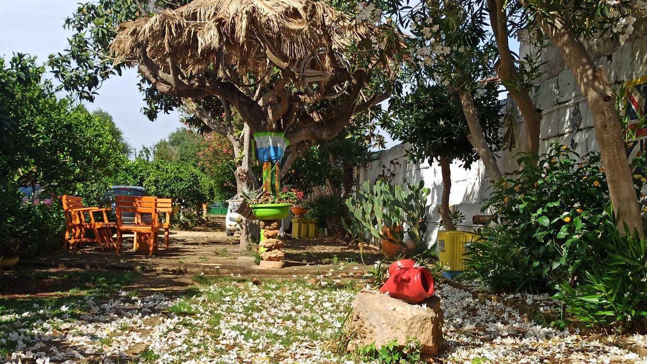 Photo of Others in Marsala