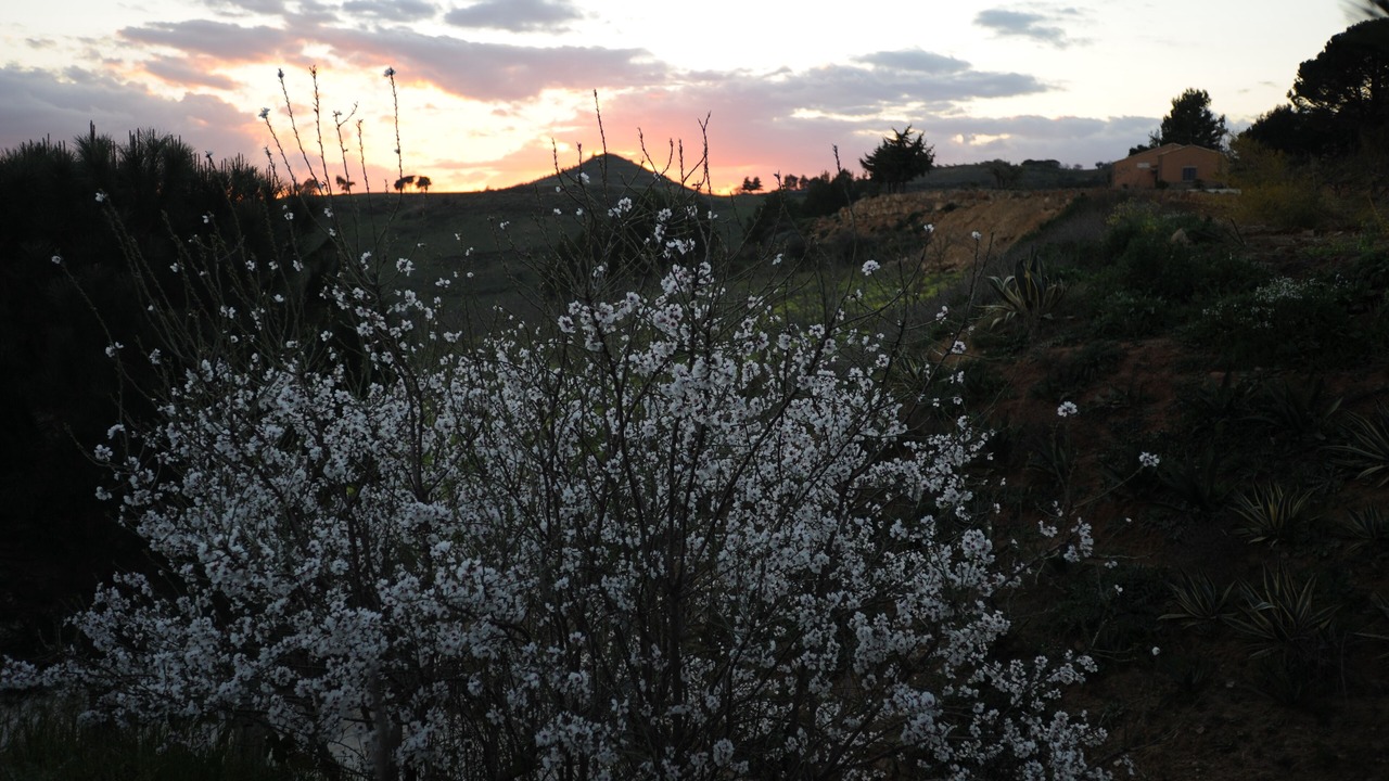 Photo of Outdoor in Aidone