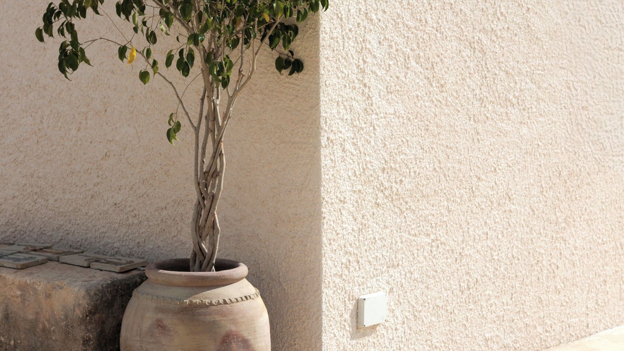 Photo of Outdoor in Noto