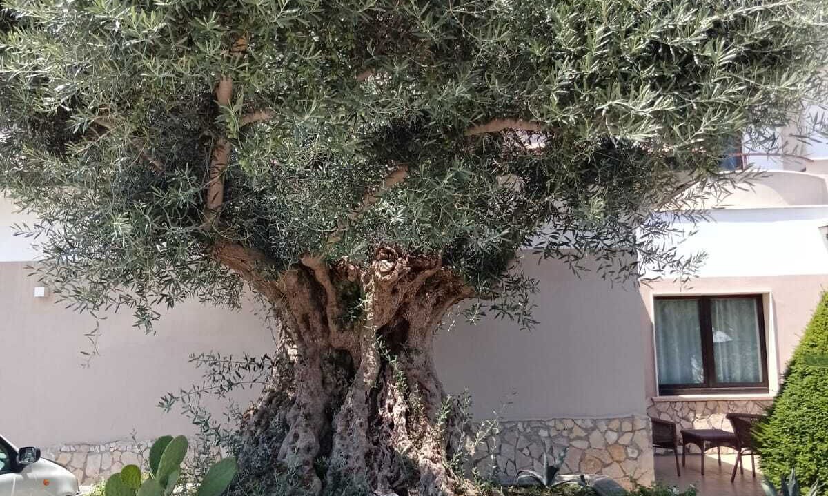 Photo of Outdoor in Giugliano in Campania