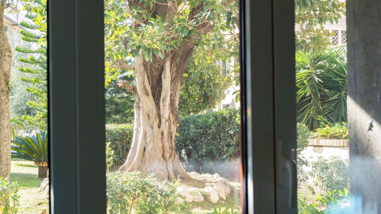 Photo of Outdoor in Portici