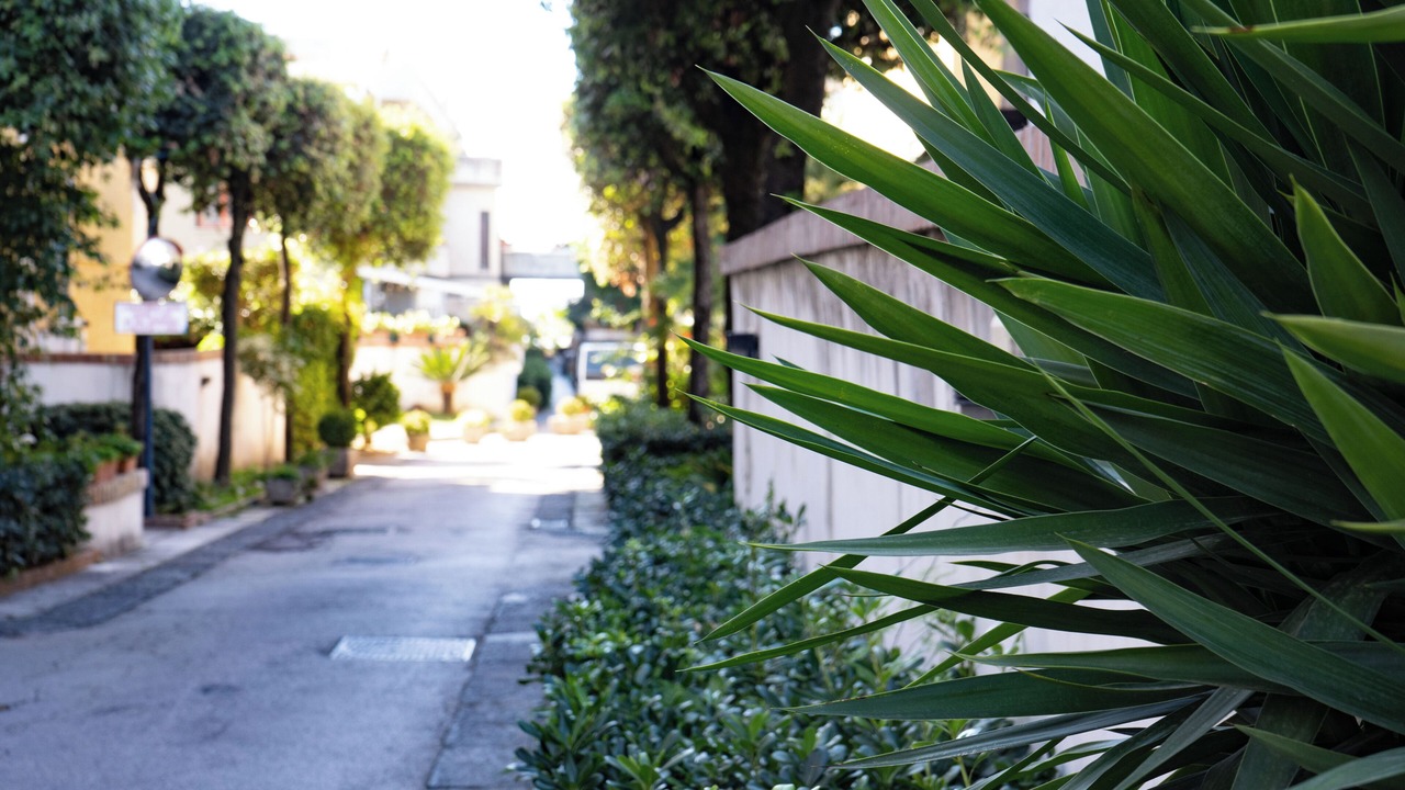 Photo of Outdoor in Portici