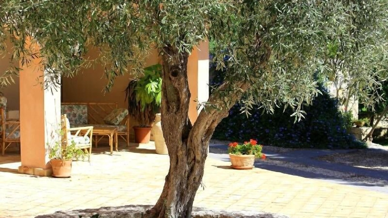 Photo of Outdoor in Costa Saracena-Castelluccio