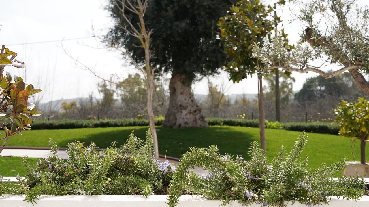 Photo of Outdoor in Noto