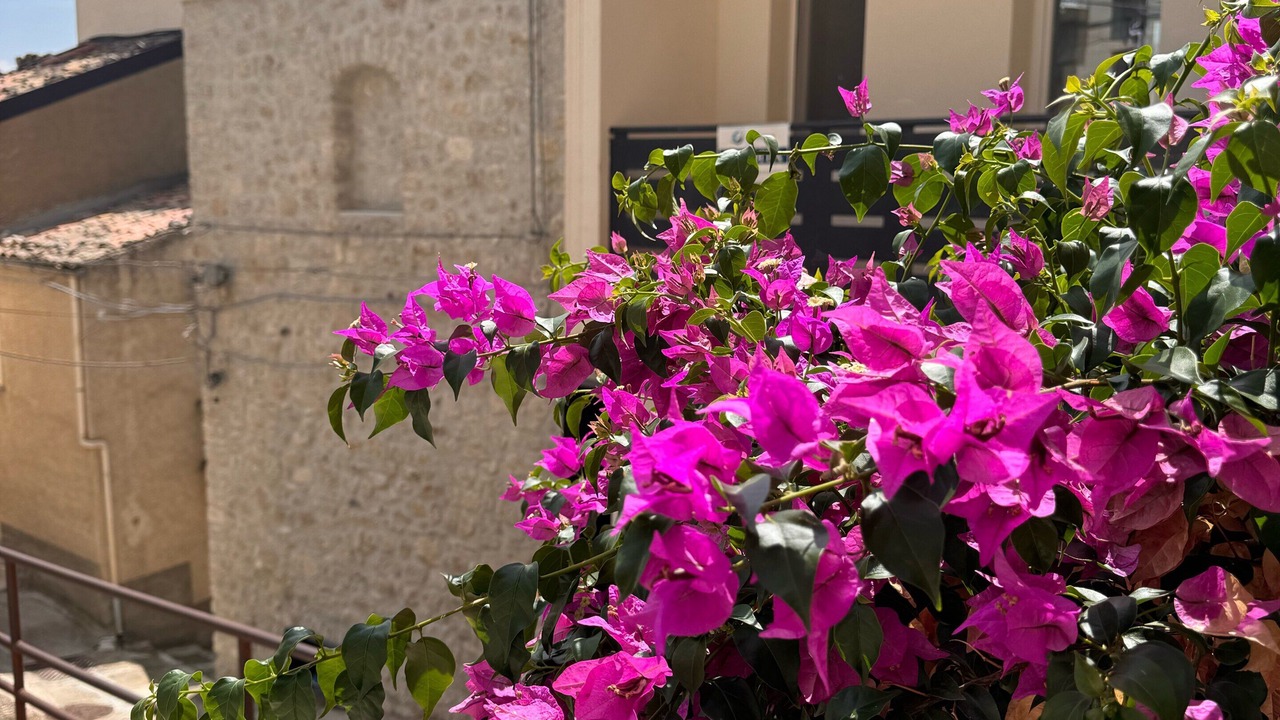 Photo of Outdoor in Castronuovo di Sicilia