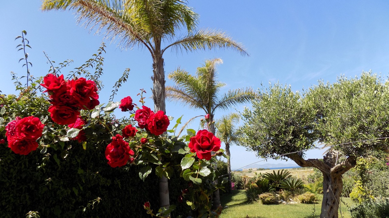 Photo of Outdoor in Nubia