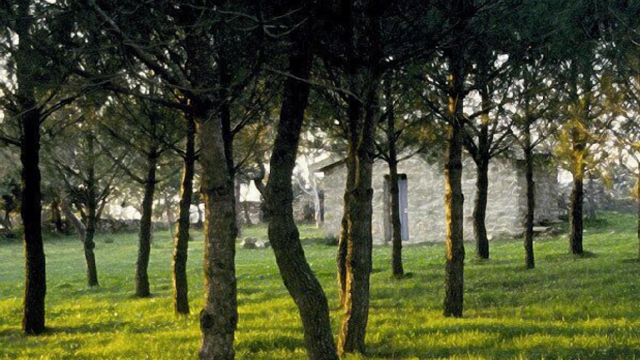 Photo of Outdoor in Piazza Armerina