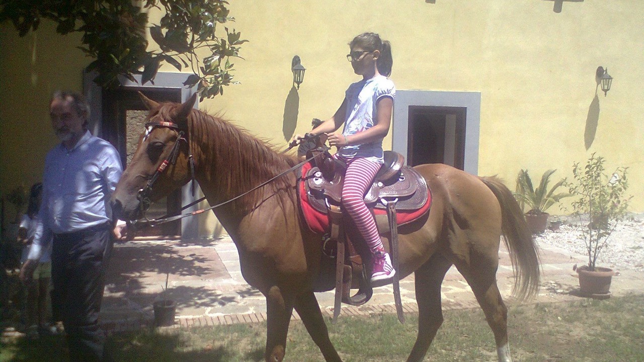 Photo of Outdoor in Laureana Cilento