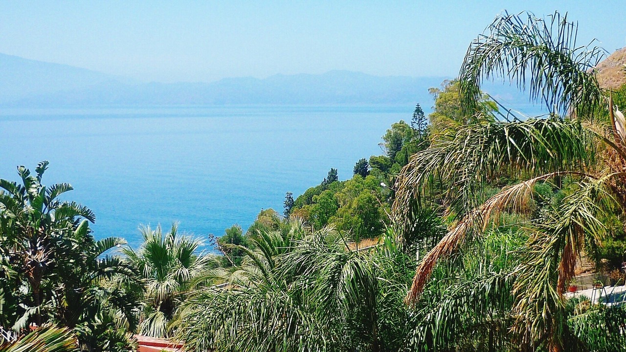 Photo of Others in Motta San Giovanni