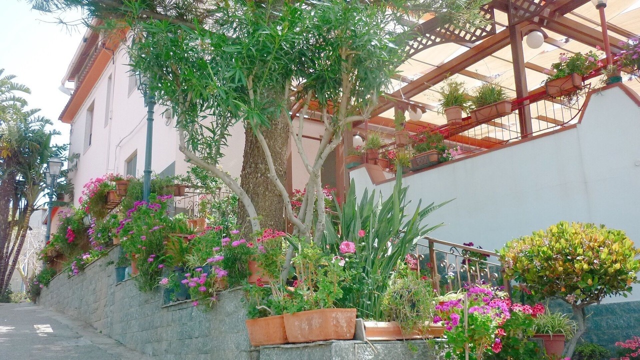 Photo of Outdoor in Motta San Giovanni