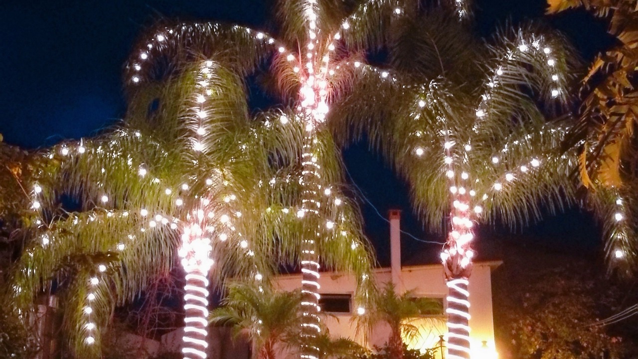 Photo of Outdoor in Motta San Giovanni