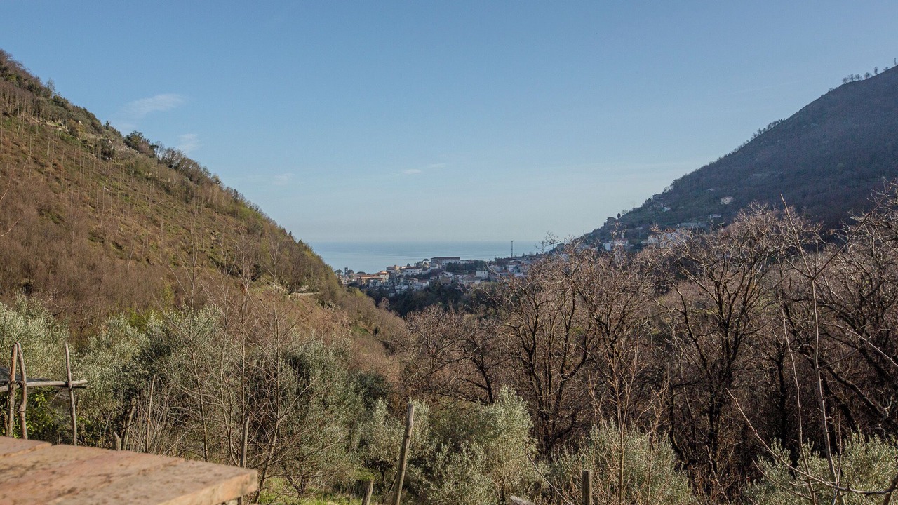 Photo of Outdoor in Scala