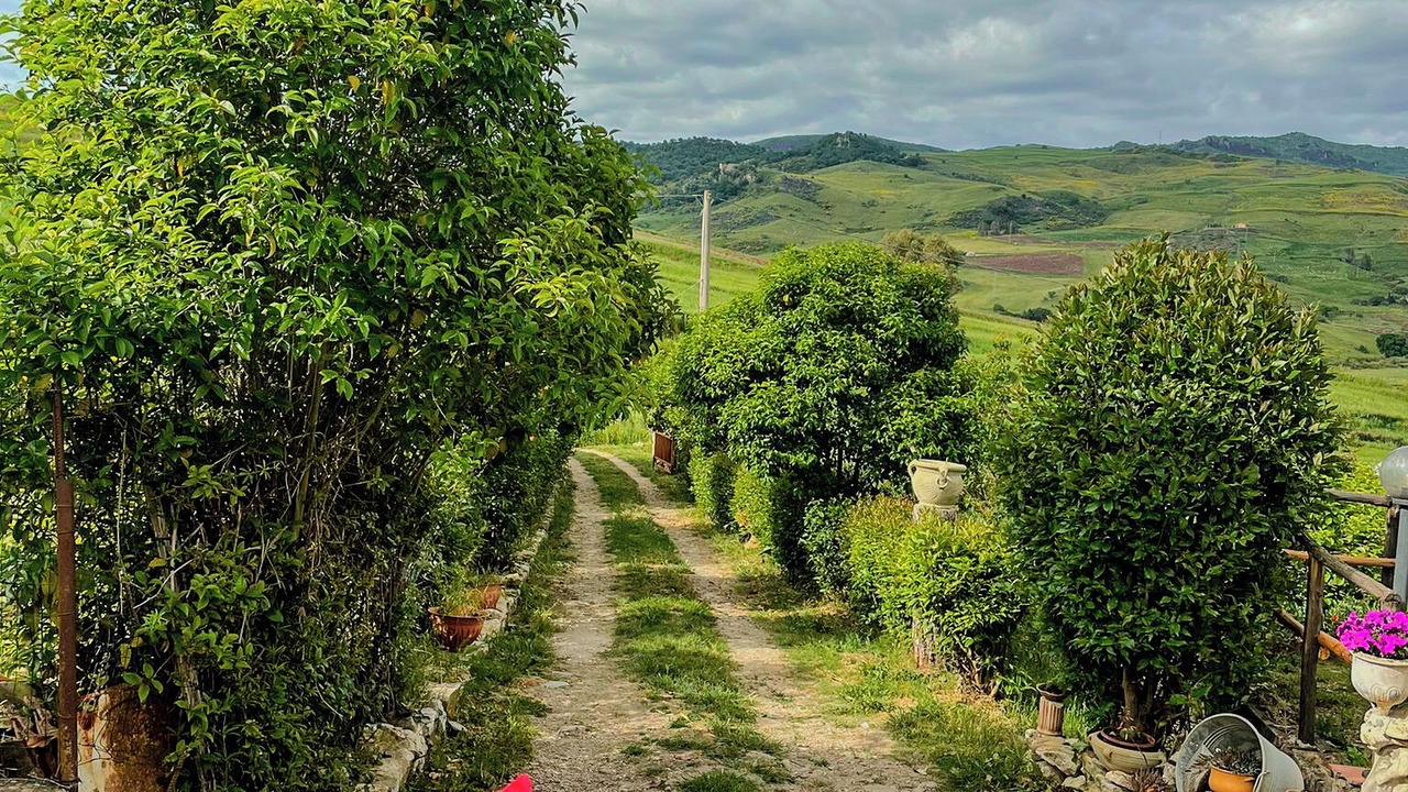 Photo of Outdoor in Nicosia