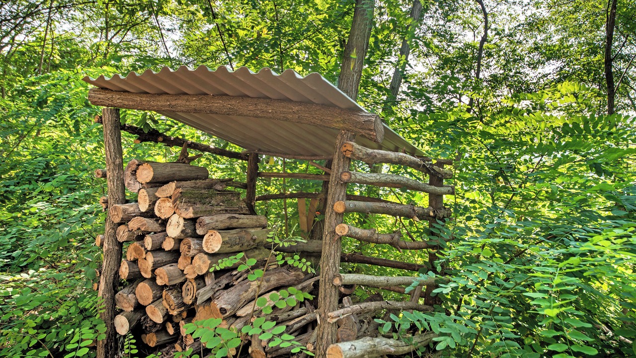 Photo of Outdoor in Carrodano Inferiore