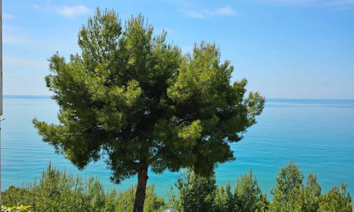 Photo of Outdoor in San Mauro Cilento