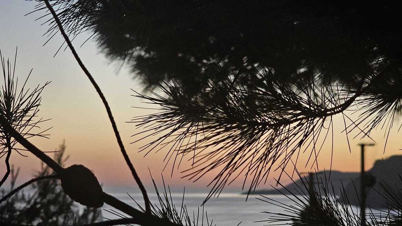 Photo of Outdoor in San Mauro Cilento