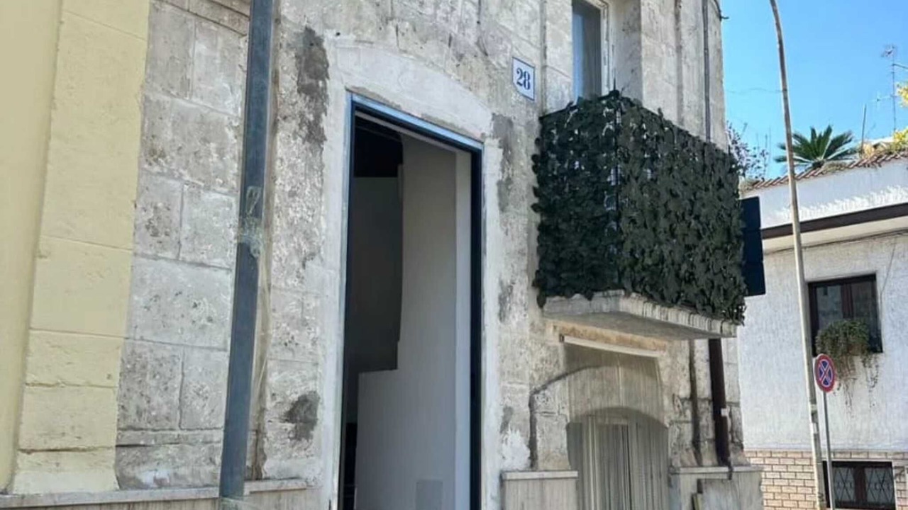 Photo of Outdoor in Municipio 4