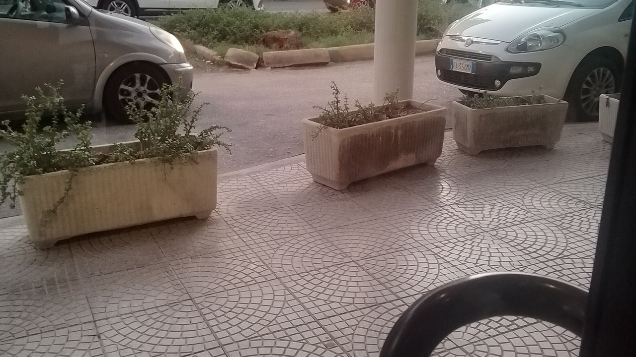 Photo of Outdoor in Tiche