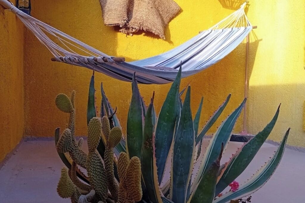 Photo of Outdoor in Sambuca di Sicilia